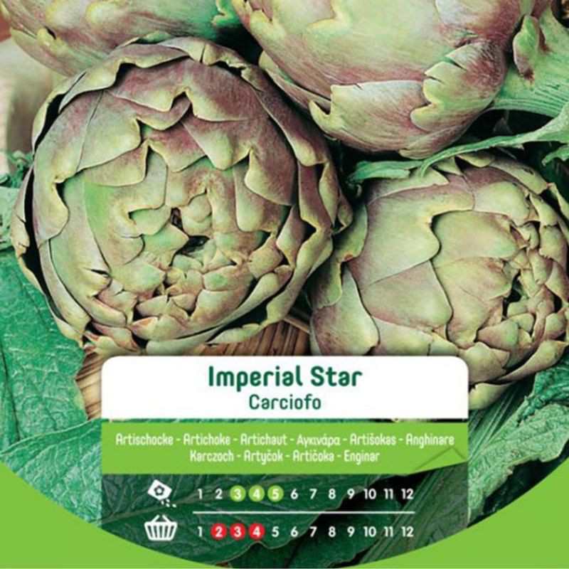 Semillas De Alcachofa Estrella Imperial En Bolsa