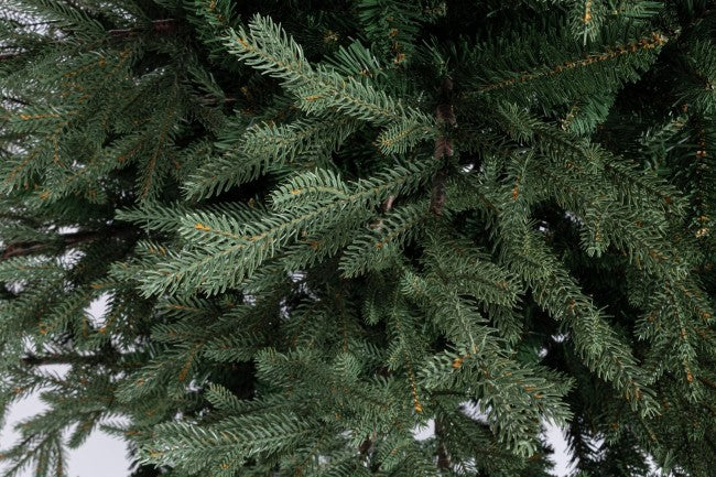 Árbol Denali H150-2057Ramas