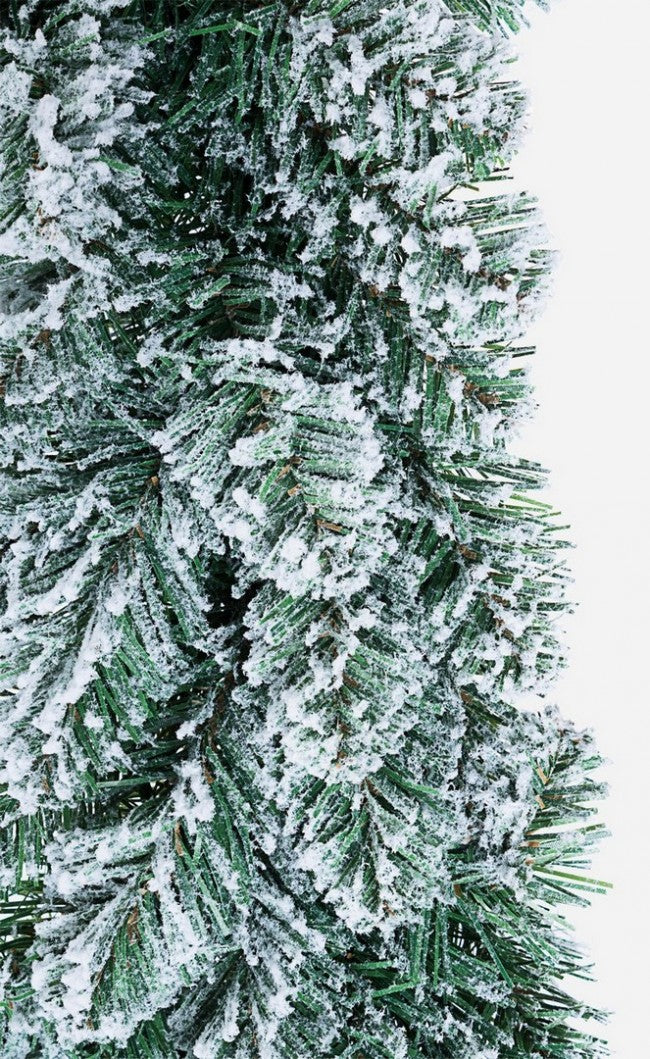 6x Corona nevada de Innsbruck D45