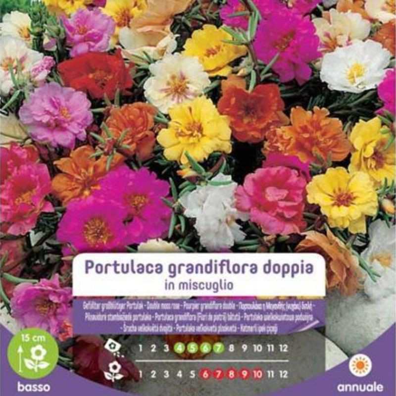 Semillas Portulaca Grandiflora Doble en Bolsa