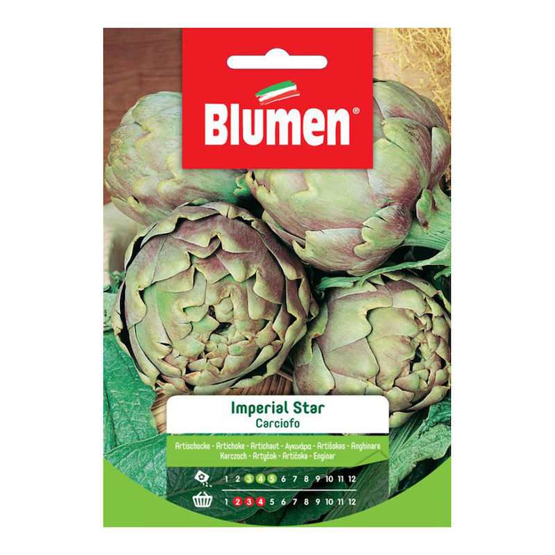 Semillas De Alcachofa Estrella Imperial En Bolsa