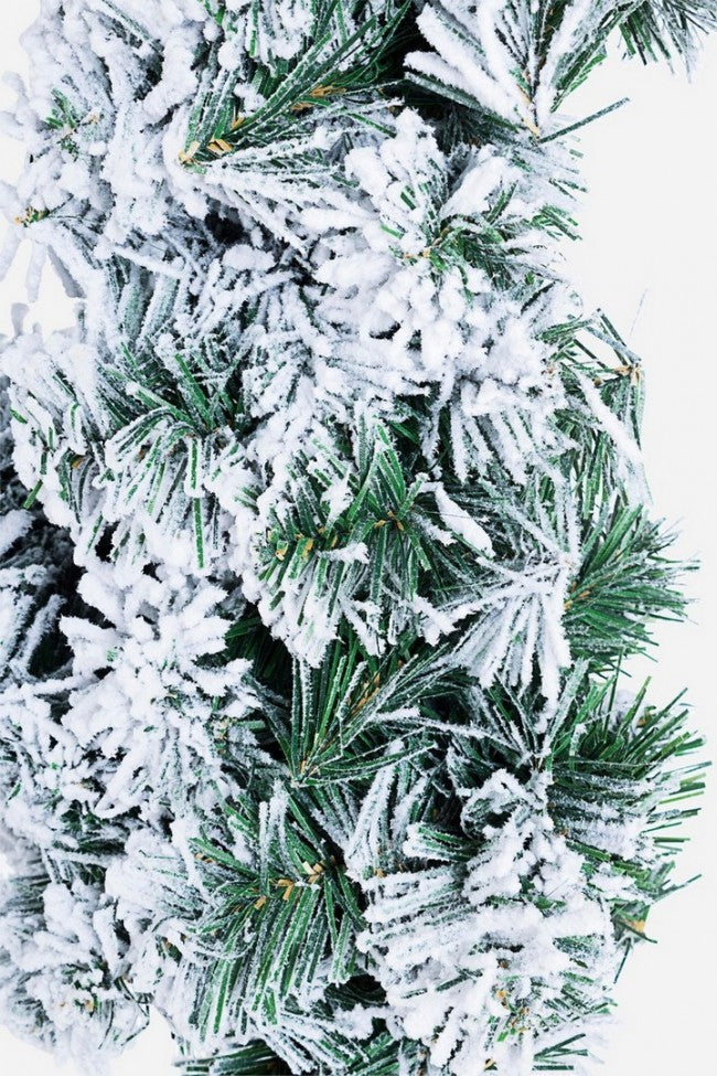 4x Estrella nevada de Nantes H60