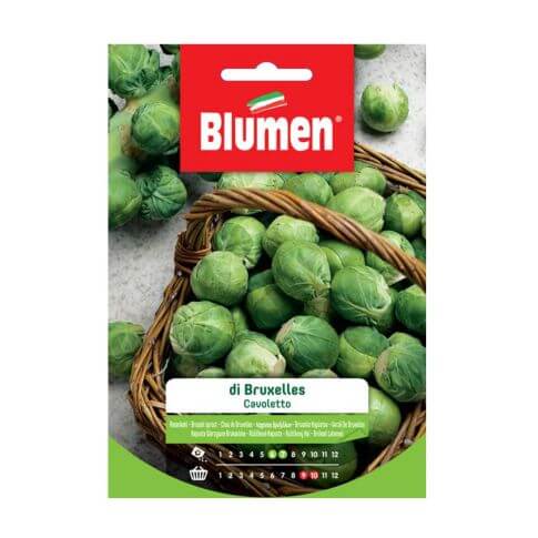 Semillas de coles de Bruselas Blumen