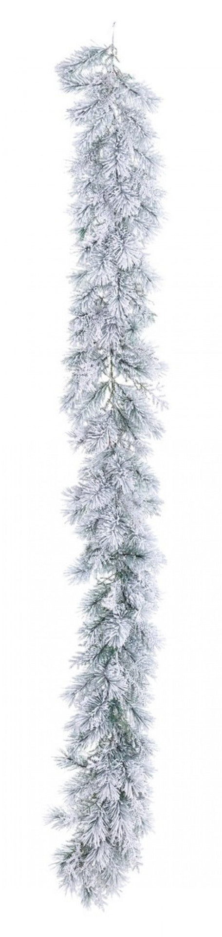 2x Boya nevada de Salzburgo H270