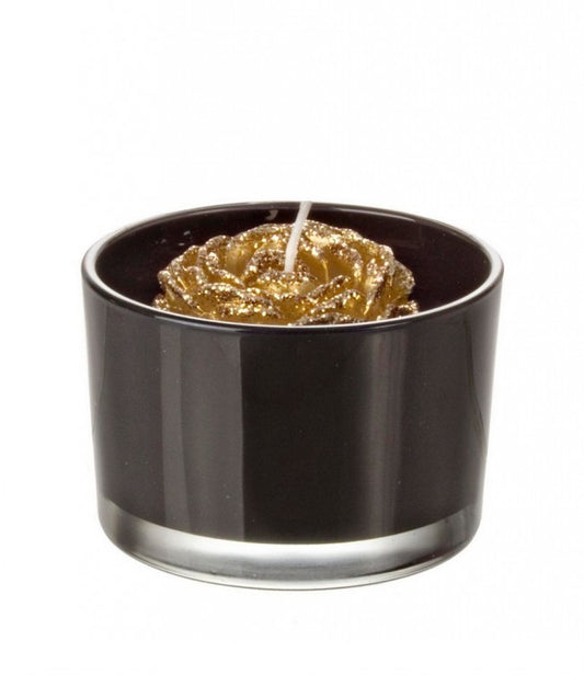 8x vela Minimalchic C