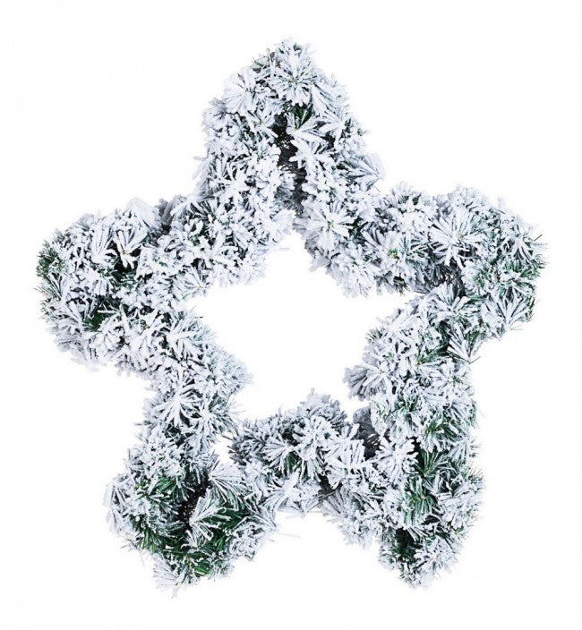 4x Estrella nevada de Nantes H60