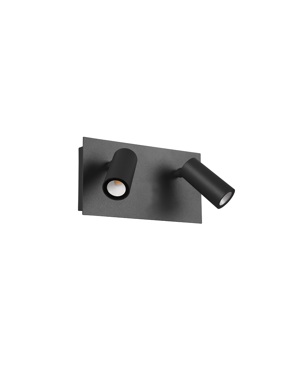 Lámpara de pared para exterior Tunga con doble foco LED antracita ajustable IP54 Trio Lighting