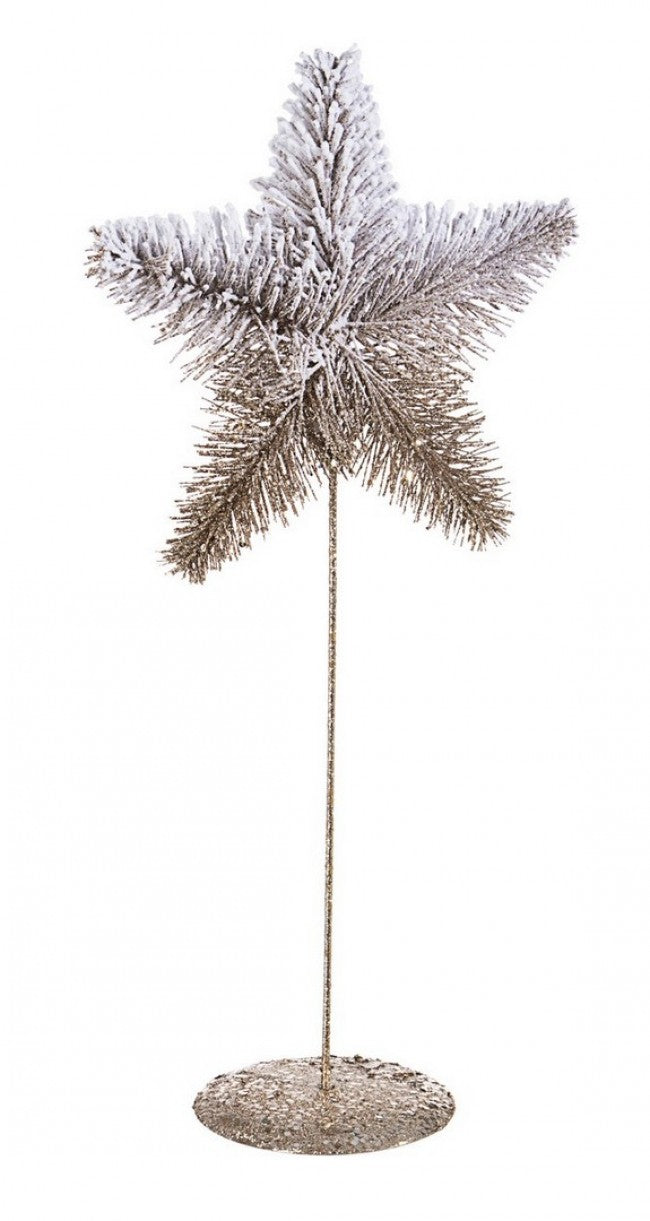 12 soportes decorativos con forma de estrella de champán Freezy