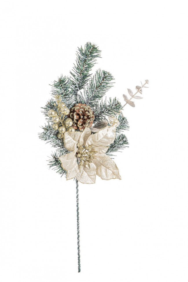 12x Púa Dorette Poinsettia Champán H50Cm