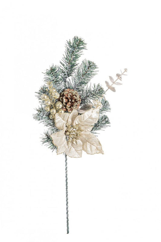 12x Púa Dorette Poinsettia Champán H50Cm