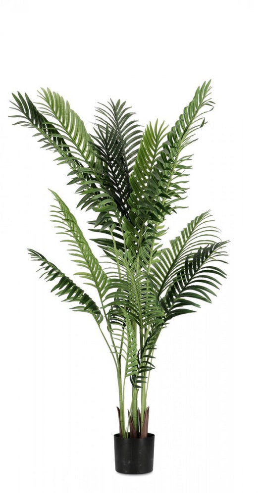 2x Kenzia Plant C-Pot 17 hojas Alt. 160