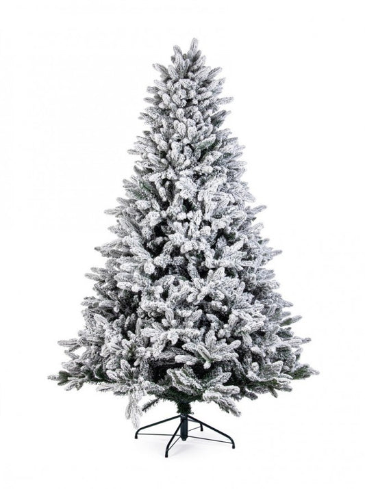 Árbol Frejus cubierto de nieve H270-3764Ramas