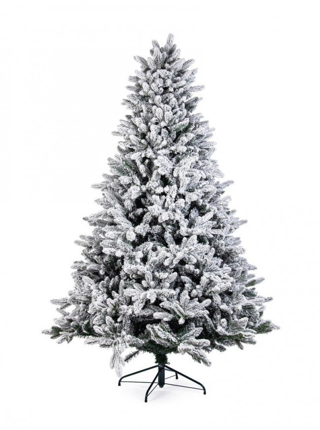 Árbol Frejus cubierto de nieve H210-2229Ramas