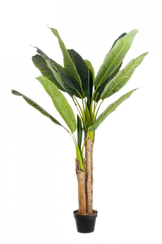 2x Maceta C para planta de plátano 14 hojas H135