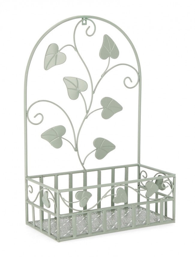 4x P.Fiore Wall Harriet Rett Salvia L