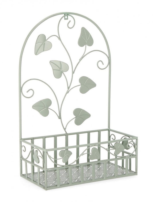 4x P.Fiore Wall Harriet Rett Salvia L