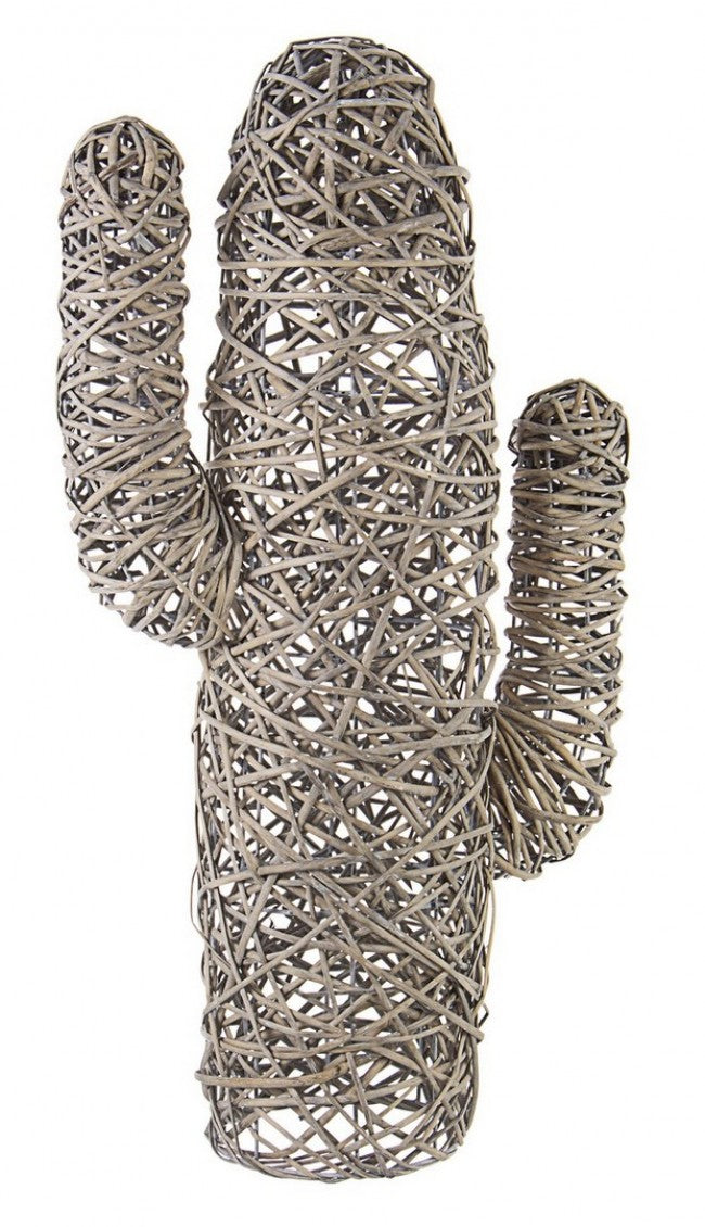 4x Cactus México Gris Antiguo Alt.88