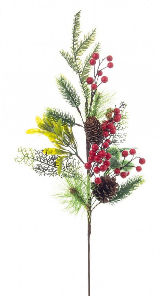 12x Rama Marriel Bayas C