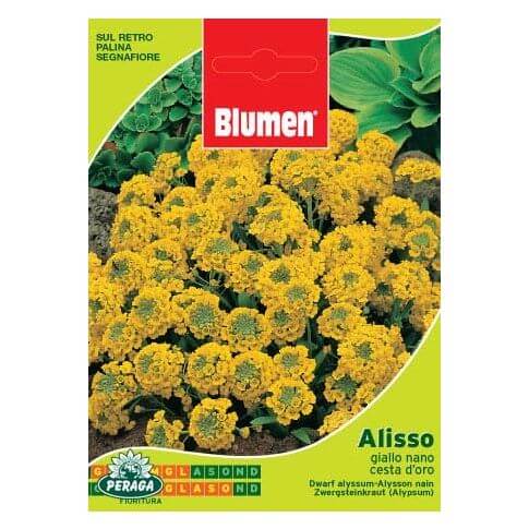 Bolsita con Semillas de Alyssum Amarillo Enano Golden Basket