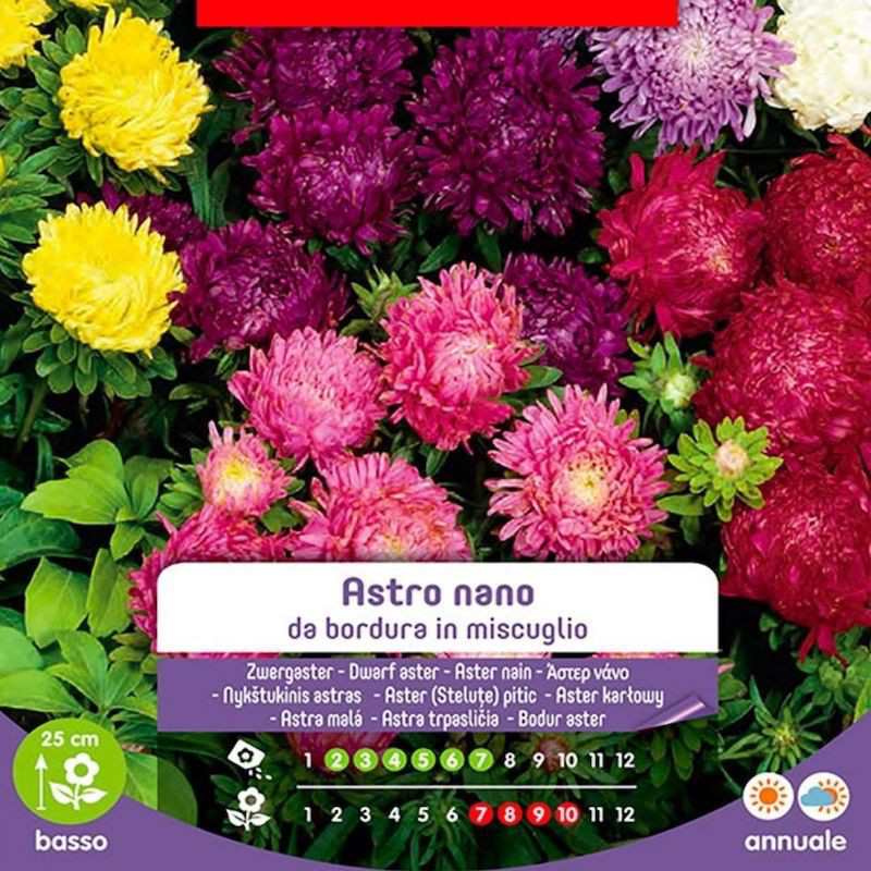 Semillas mixtas Border Astro Nani