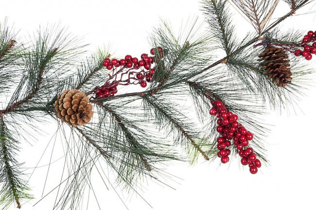 6x Bayas de Boa Vals Rojas C