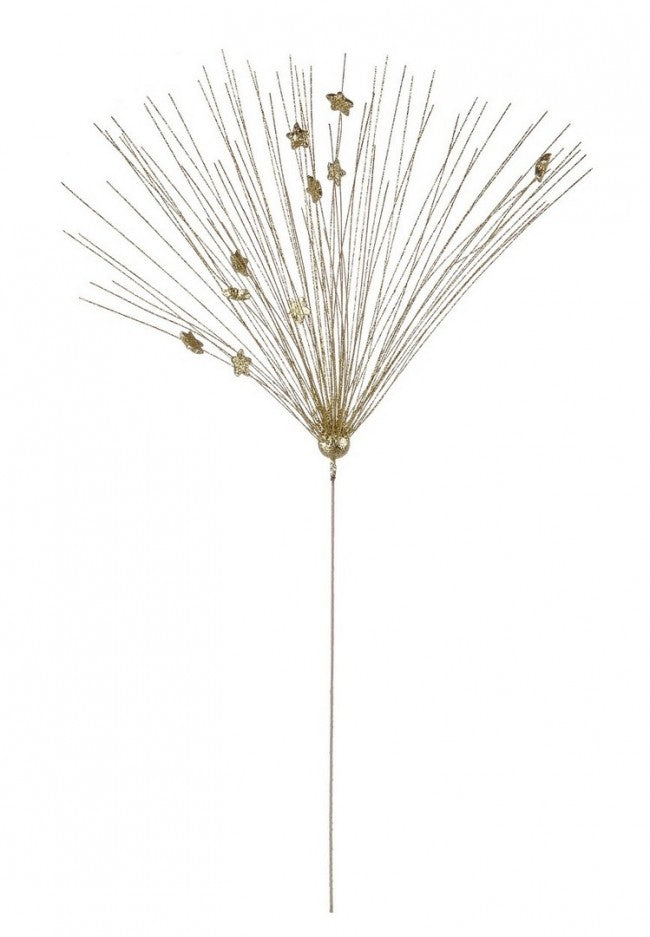 12x Elige estrellas C doradas brillantes